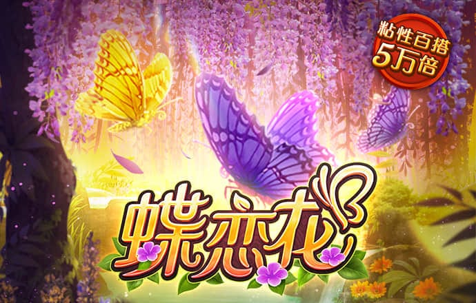 b—sports入口